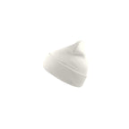 Wind-S Beanie