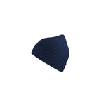 Andy Recycled Beanie